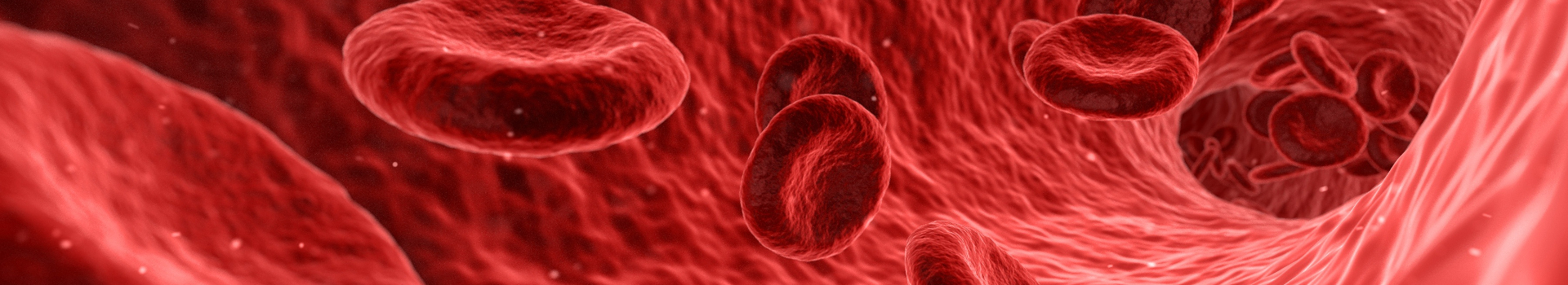 Proyectos: Ciencias de la Vida