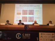 Mesa redonda "Ataques, malware, recopilación de pruebas y consecuencias legales". Primer Foro CIBER.