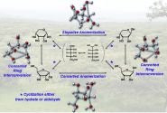 Investigadores de la UEx publican los resultados de una importante investigación química usando recursos computacionales de CénitS