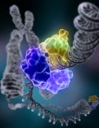 La importancia de la supercomputación en la lucha contra el cáncer La importancia de la supercomputación en la lucha contra el cáncer